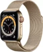 Apple Watch Series 6 40mm Stainless Steel (GPS+Cellular)