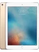 iPad Pro 9.7 (Wi-Fi + Cellular)